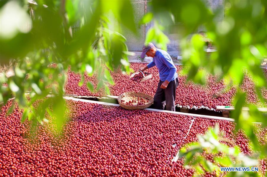 #CHINA-HARVEST FESTIVAL-CELEBRATION (CN)