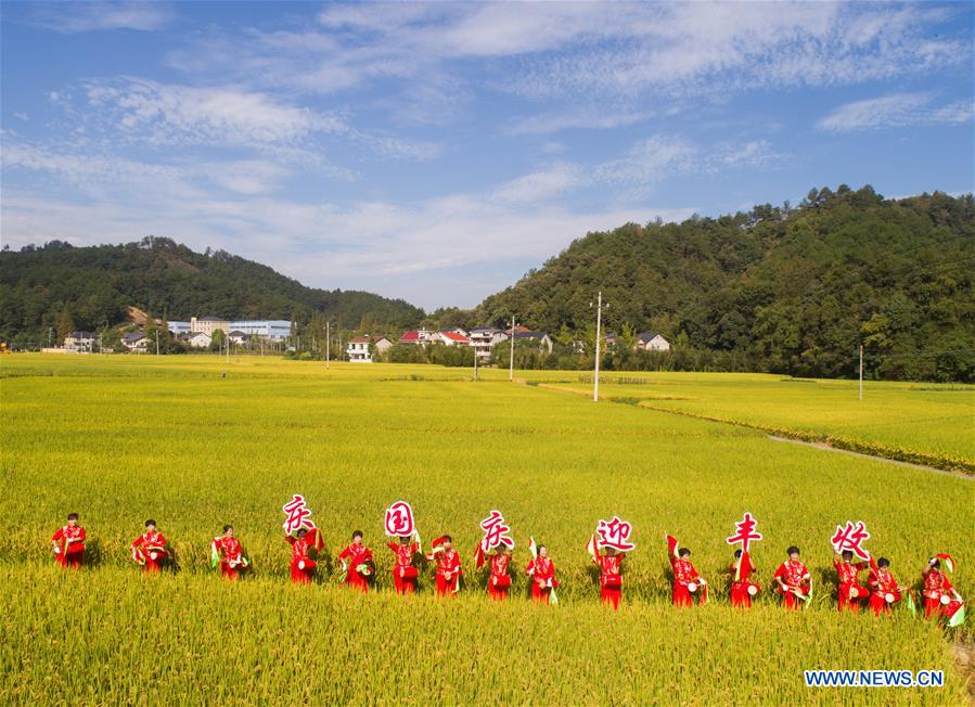 CHINA-ZHEJIANG-HANGZHOU-RICE-HARVEST (CN)