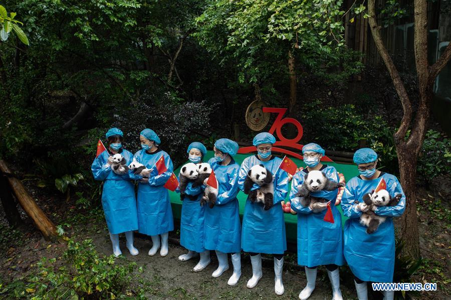 CHINA-CHENGDU-GIANT PANDA-CUBS (CN)