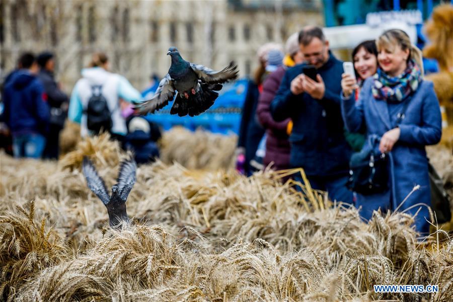 RUSSIA-MOSCOW-GOLDEN AUTUMN FESTIVAL