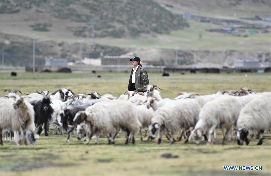 (InTibet)CHINA-TIBET-FEMALE PILOT (CN)