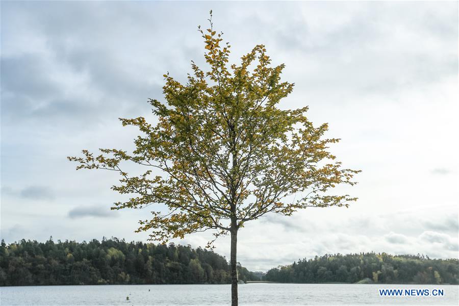 SWEDEN-STOCKHOLM-AUTUMN