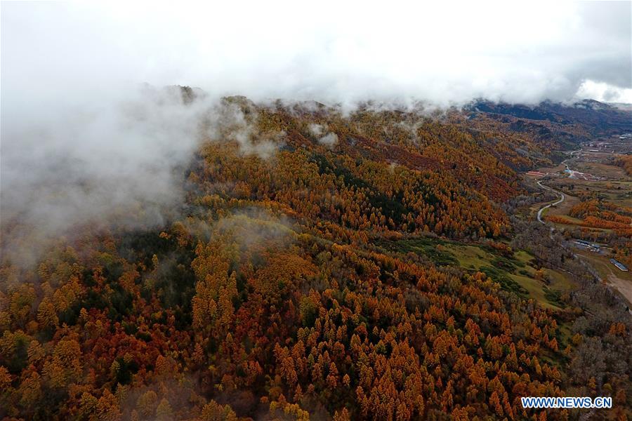 CHINA-SHANXI-PANGQUANGOU-NATURE RESERVE (CN)