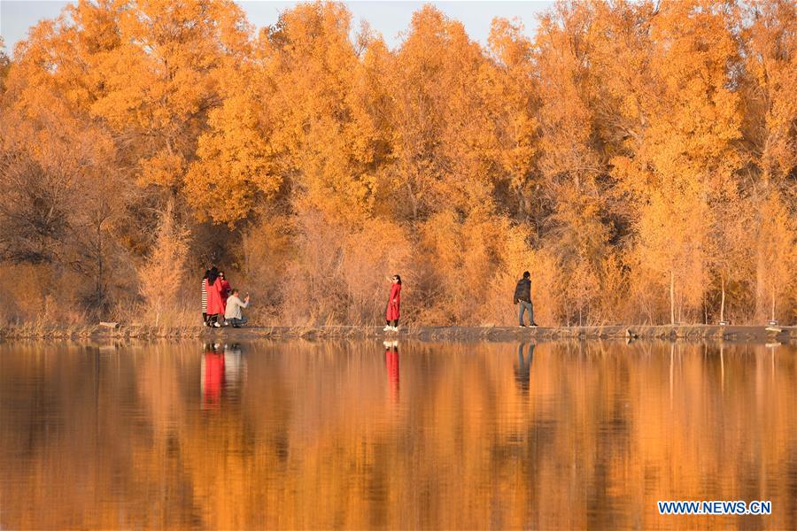 CHINA-JIUQUAN-AUTUMN SCENERY (CN)