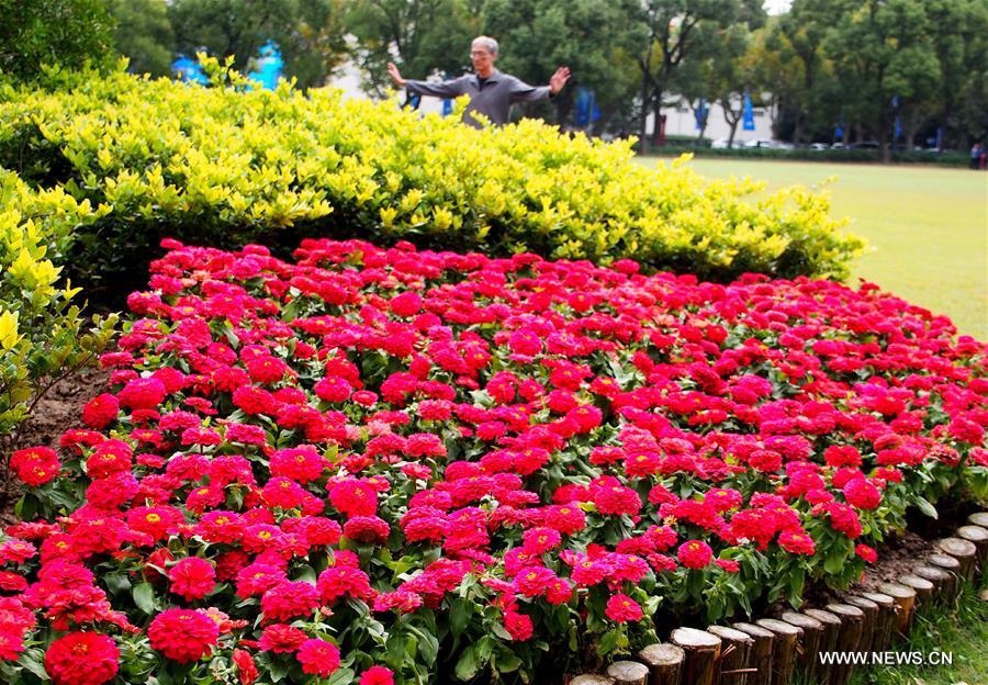 CHINA-SHANGHAI-AUTUMN SCENERY-UNIVERSITY (CN)