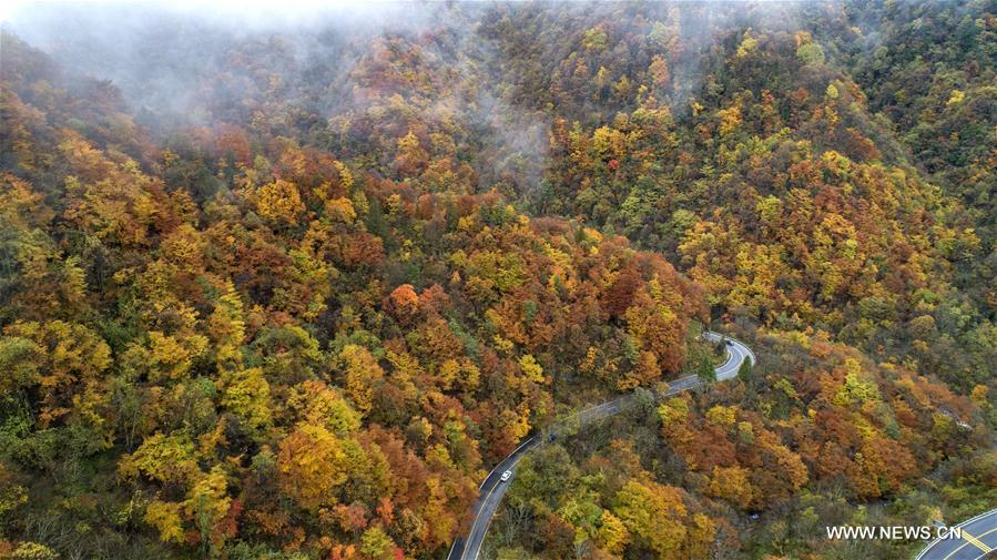 CHINA-HUBEI-SHENNONGJIA-AUTUMN SCENERY (CN)