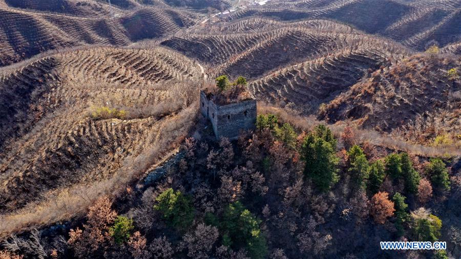 CHINA-HEBEI-GREAT WALL-WINTER SCENERY (CN)