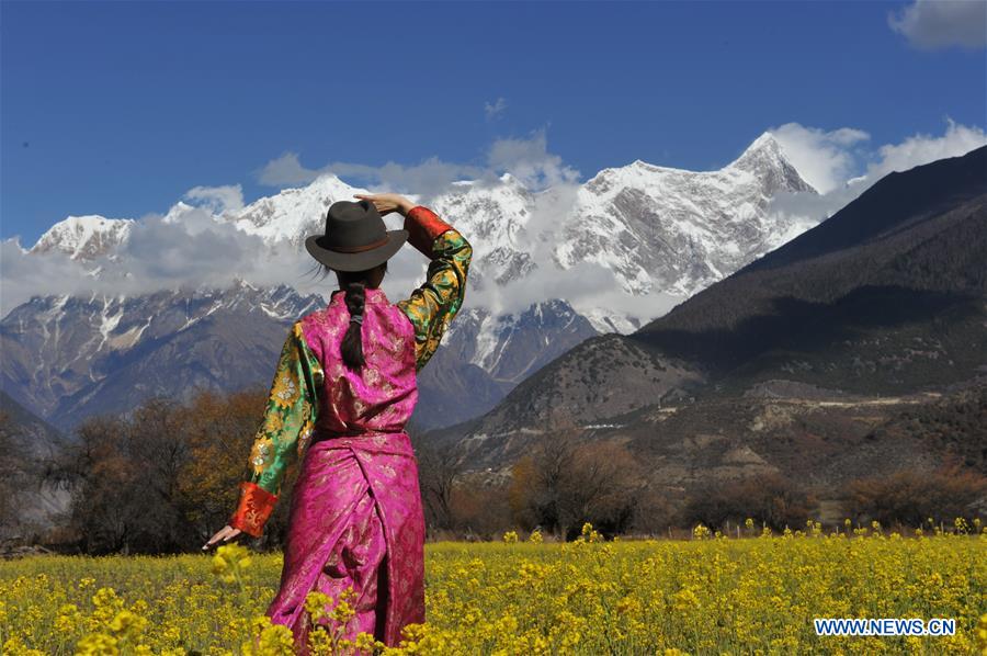 CHINA-TIBET-COLE FLOWER (CN)