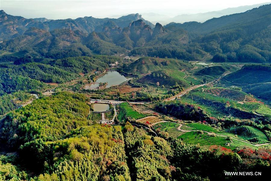 CHINA-FUJIAN-WUYI MOUNTAIN-SCENERY (CN)