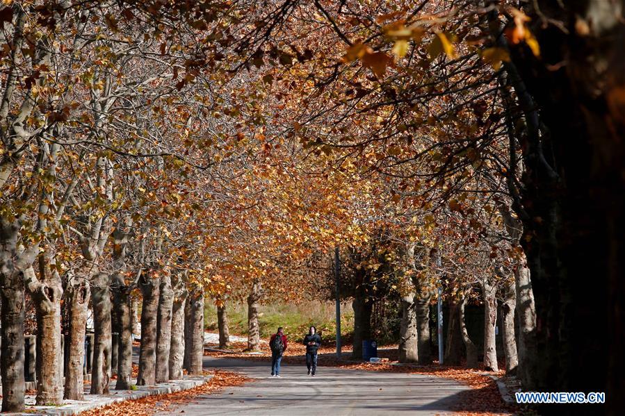 LEBANON-SAWFAR-AUTUMN SCENERY