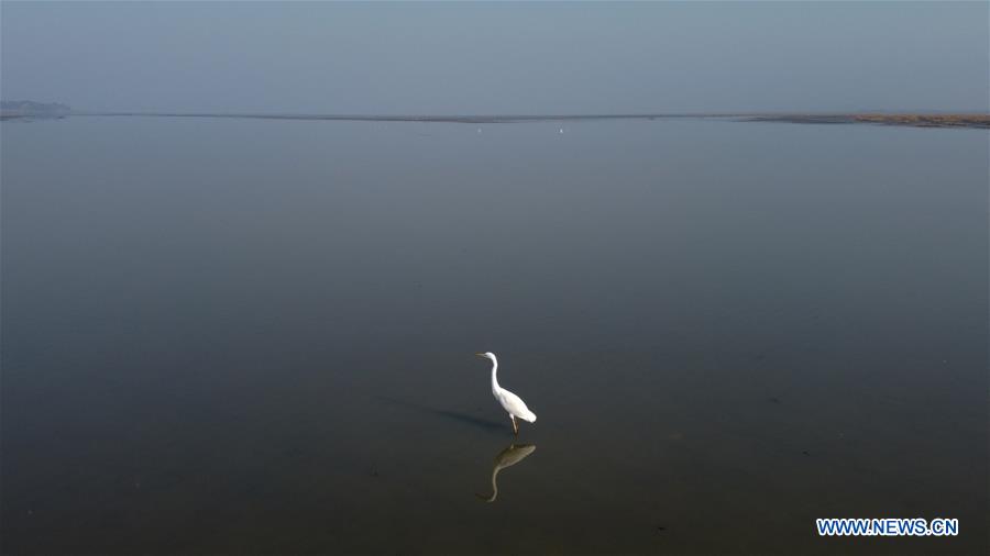 CHINA-ANHUI-SHENGJIN LAKE-MIGRANT BIRDS (CN)