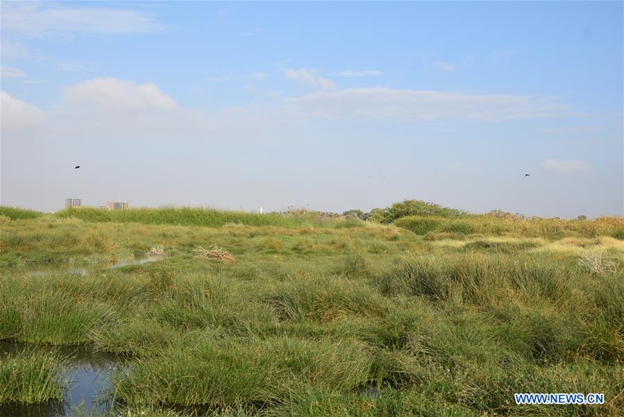 YEMEN-ADEN-NATURE RESERVE