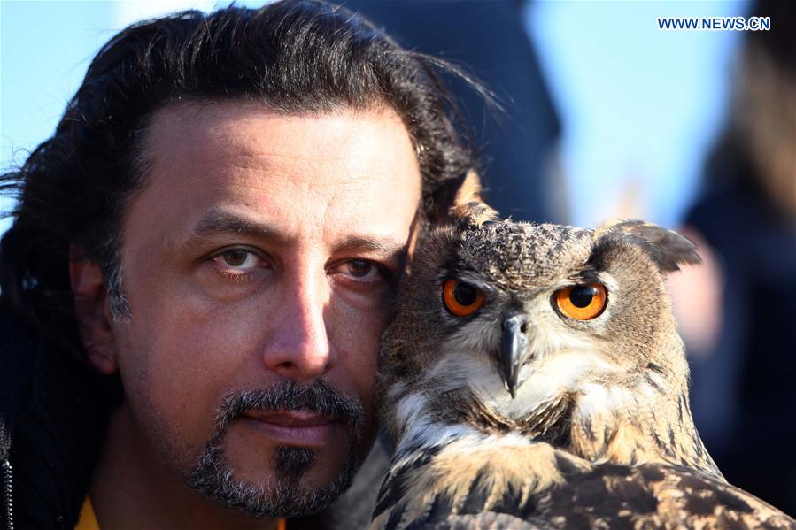 KUWAIT-MUBARAK AL-KABEER GOVERNORATE-RAPTOR SHOW