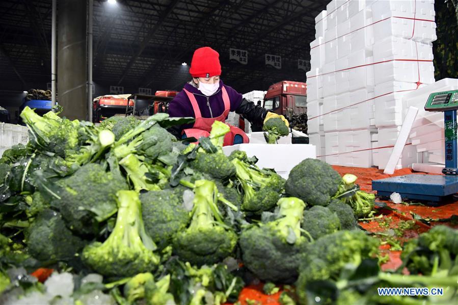 CHINA-SHANDONG-SHOUGUANG-VEGETABLE SUPPLY (CN)