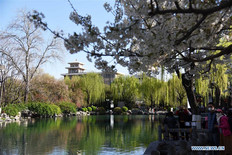 CHINA-SHANDONG-JINAN-SPRING SCENERY (CN)