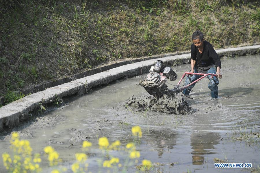 CHINA-CHONGQING-SPRING-FARMING (CN)