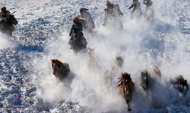 Horse taming attracts tourists in China's Inner Mongolia