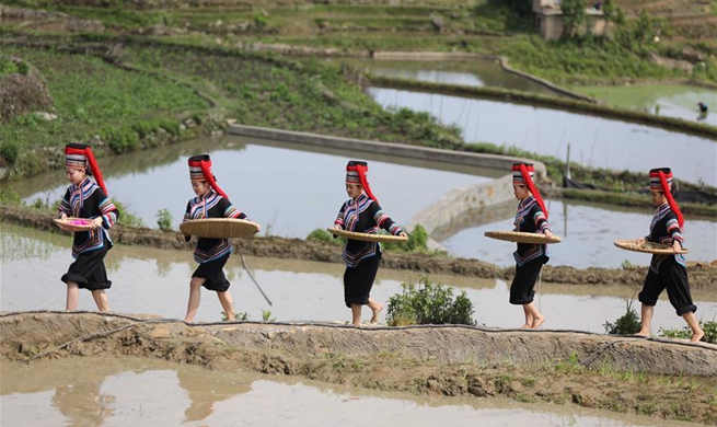 Farming culture festival held in China's Yunnan