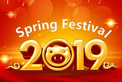 Spring Festival 2019