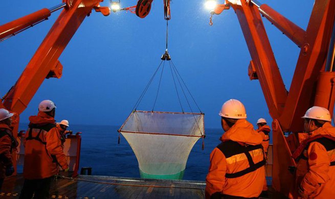 China's 36th Antarctic expedition team collect fish samples