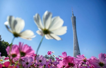 Weekly choices of Xinhua photo