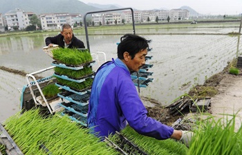 In pics: farm work across China