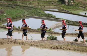 Farming culture festival held in China's Yunnan