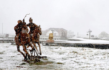 Cold wave hits northern and eastern parts of Xinjiang