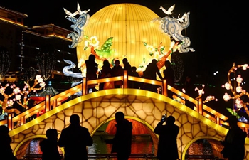 People view lanterns on eve of Spring Festival in Hubei