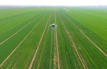 Farmers busy working across China