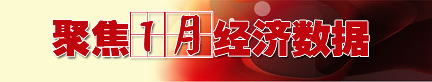 聚焦13年1月經(jīng)濟(jì)數(shù)據(jù)