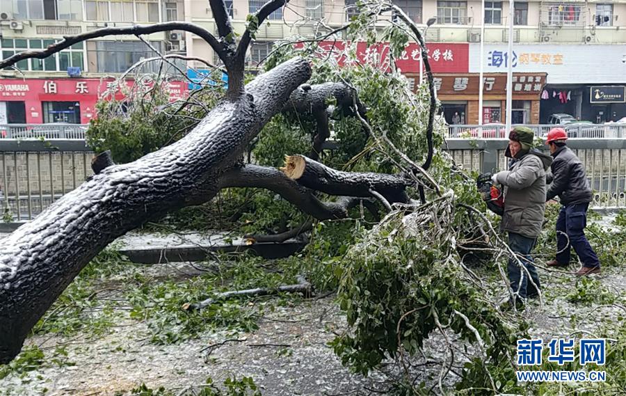 （新華全媒頭條）（7）雨雪冰凍中，他們奮力前行——基層黨員干群抗擊冰雪災(zāi)害紀(jì)實(shí)