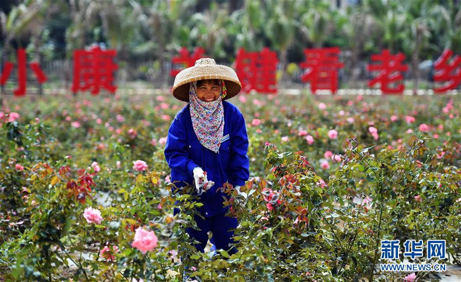 （新華全媒頭條·潮起海之南·圖文互動）（1）在偉大復(fù)興新征程上揚帆遠(yuǎn)航——從海南建省辦特區(qū)看中國改革開放40年