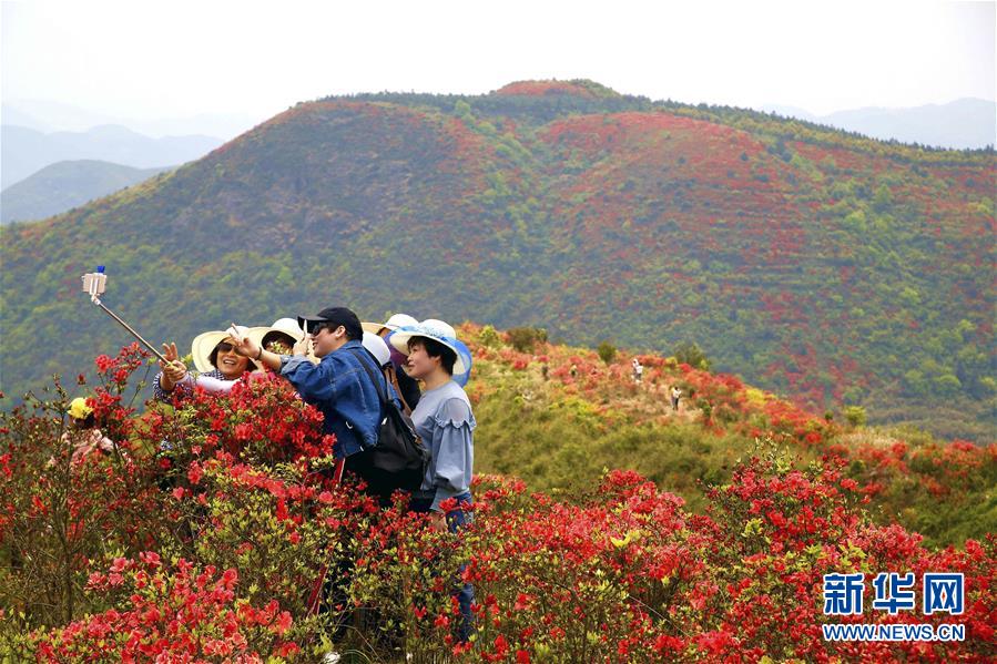 #（環(huán)境）（3）花開(kāi)在四月