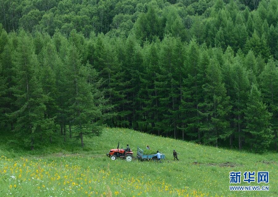 （壯闊東方潮 奮進(jìn)新時(shí)代——慶祝改革開放40年）（4）美麗中華大地書寫綠色傳奇