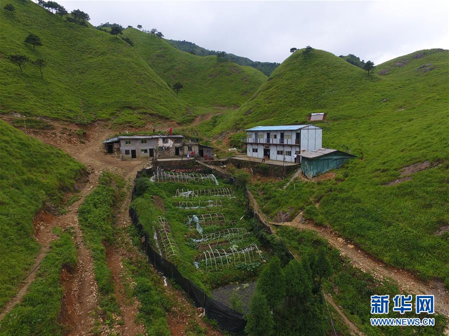 （新華全媒頭條·圖文互動(dòng)）（3）一個(gè)人，一座山——劉真茂的生命守望