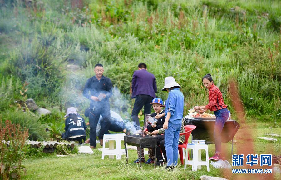 （社會(huì)）（6）夏日“過(guò)林卡” 親近大自然