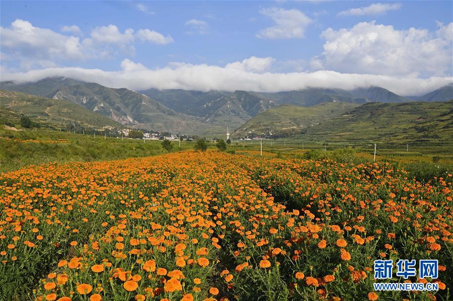 （新華全媒頭條·圖文互動）（8）中國扶貧的西海固答卷——寧夏奮進(jìn)60年巡禮之脫貧攻堅(jiān)篇