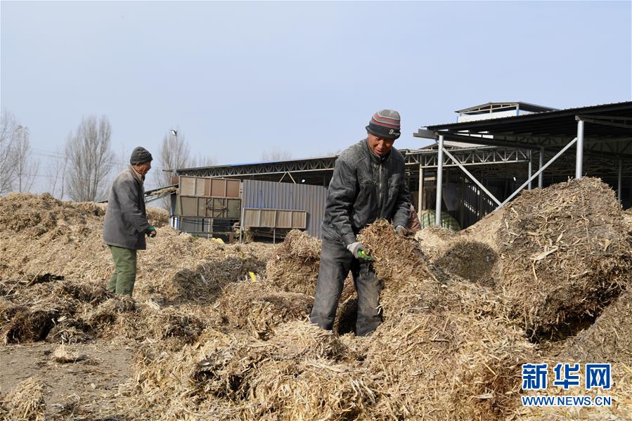 （在習(xí)近平新時代中國特色社會主義思想指引下——新時代新氣象新作為·鄉(xiāng)村振興戰(zhàn)略·圖文互動）（2）“與其放火，不如打包”——山西渾源秸稈綜合再利用見聞