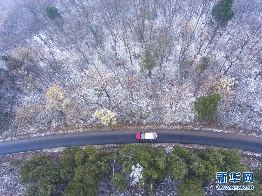 #（環(huán)境）（5）瑞雪迎新年