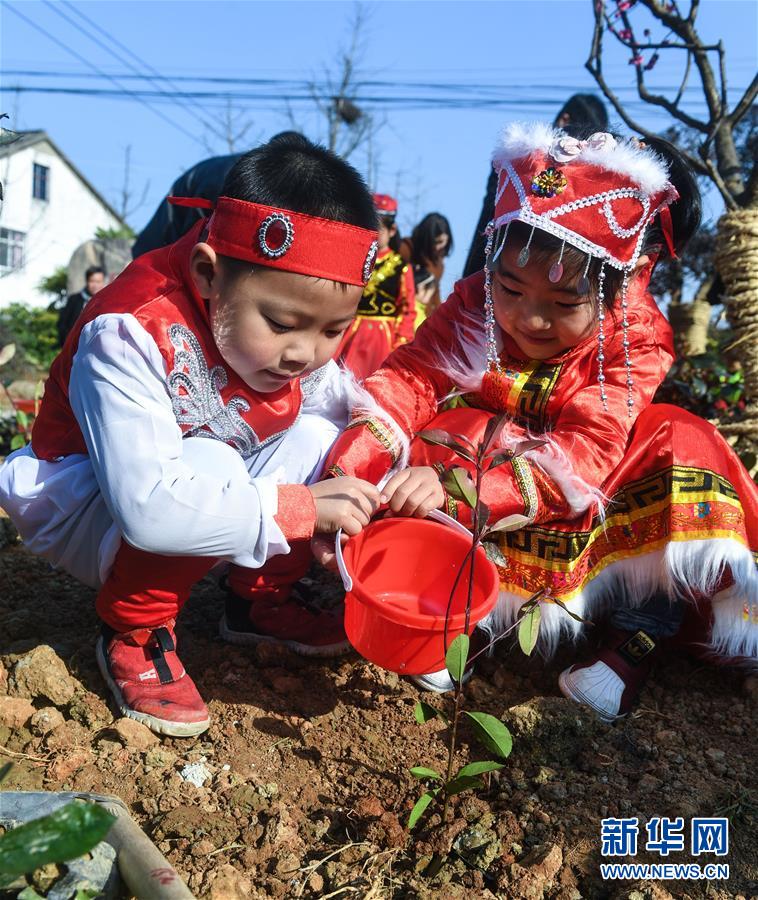 （社會(huì)）（3）多民族兒童共迎植樹(shù)節(jié)