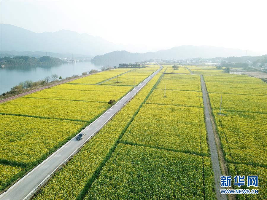 （新華全媒頭條·兩會(huì)精神看落實(shí)·圖文互動(dòng)）（4）保持戰(zhàn)略定力 跨越重要關(guān)口——落實(shí)兩會(huì)精神加強(qiáng)生態(tài)文明建設(shè)述評(píng)