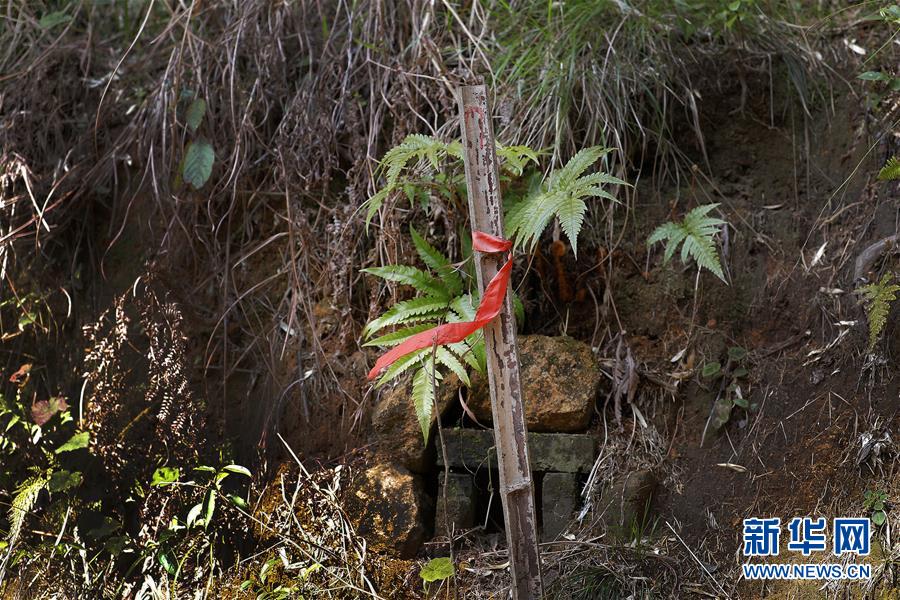 （圖文互動）（4）永不遲到的祭奠——追尋1343座無名紅軍墓背后的故事