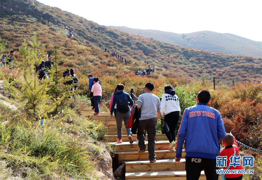 （城市綠道建設·圖文互動）（5）青城登山步道：踏遍青山享美景 生態(tài)綠道助脫貧