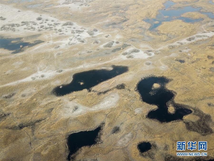 （圖文互動）（1）海子里的牧羊人見證中國最長內(nèi)陸河生態(tài)變遷