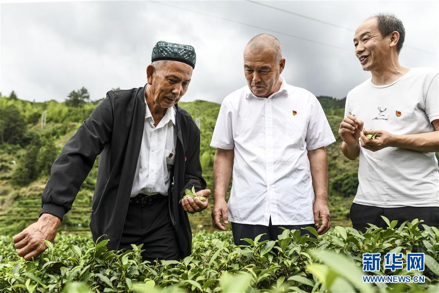 （新華全媒頭條·圖文互動）（7）同心援疆，“壯闊”祖國西北角