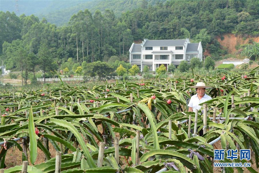 （在習(xí)近平新時(shí)代中國(guó)特色社會(huì)主義思想指引下——新時(shí)代新作為新篇章·總書記關(guān)心的百姓身邊事·圖文互動(dòng)）（6）大污染變身“大寶藏”：治理畜禽糞污，他們這樣干！