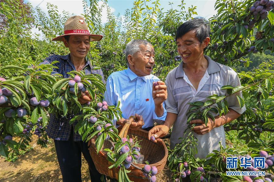 （新華全媒頭條·圖文互動）（1）凝聚民族復(fù)興的精神偉力——以習(xí)近平同志為核心的黨中央重視思想道德建設(shè)關(guān)心關(guān)愛道德模范紀(jì)實