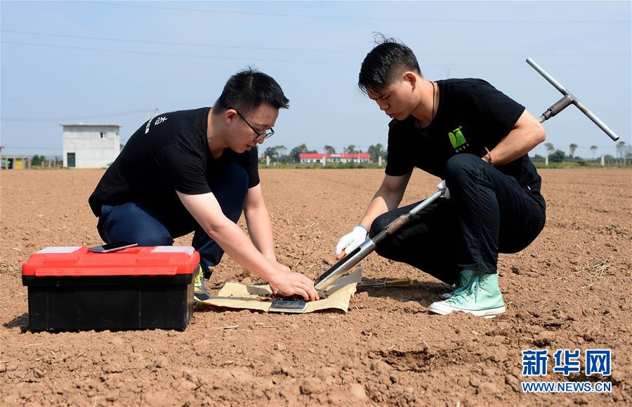 （在習(xí)近平新時(shí)代中國(guó)特色社會(huì)主義思想指引下——新時(shí)代新作為新篇章·總書記關(guān)心的百姓身邊事·圖文互動(dòng)）（6）“農(nóng)”字頭照樣“大”作為——豐收時(shí)節(jié)看涉農(nóng)高校人才在希望的田野