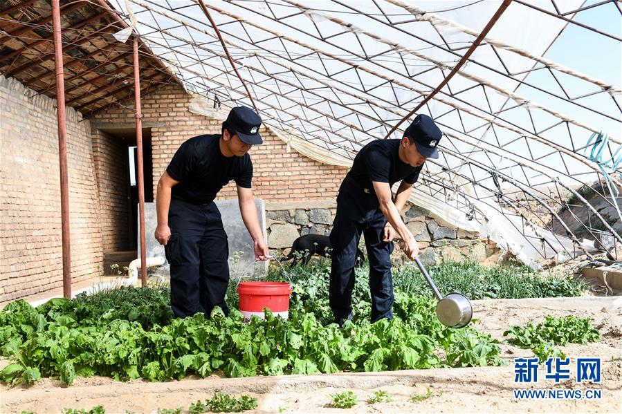 （愛國情 奮斗者·圖文互動）（5）印刻在戈壁上的名字